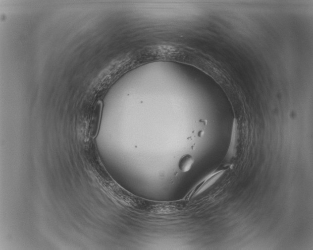 X0000053070750200508011940