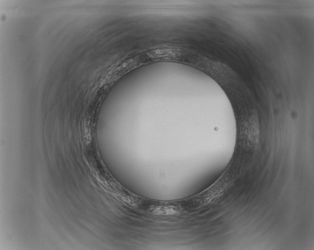 X0000053070751200508011940