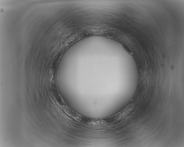 X0000053070752200508011940