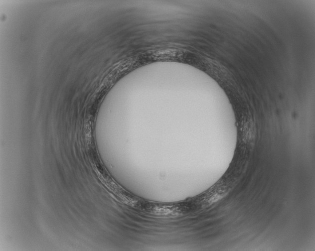 X0000053070753200508011940