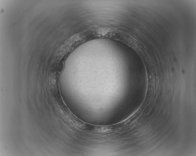 X0000053070754200508011940