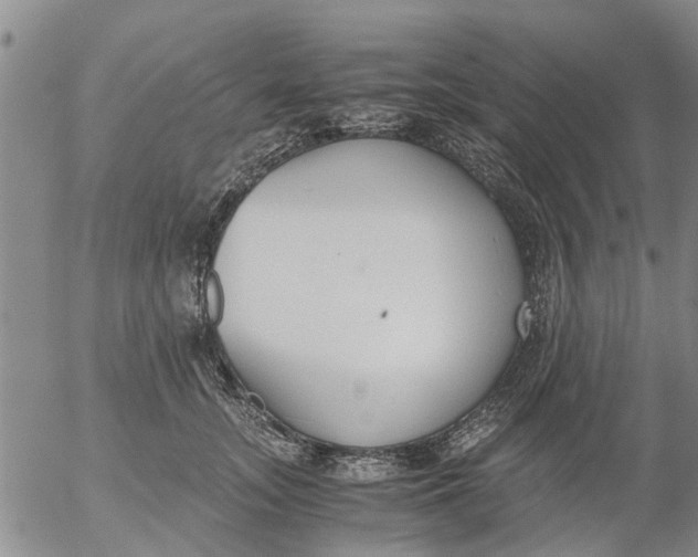 X0000053070755200508011940