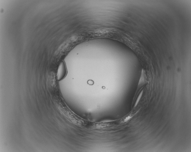 X0000053070758200508011940