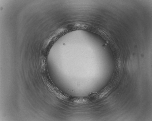 X0000053070759200508011940