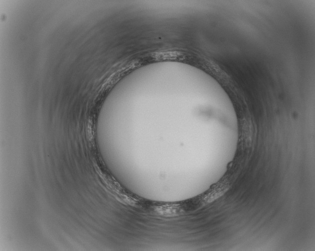 X0000053070761200508011940