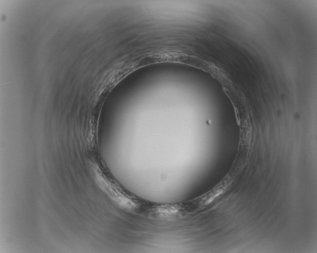 X0000053070762200508011940