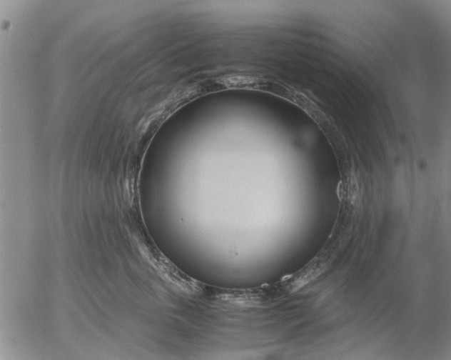 X0000053070763200508011940