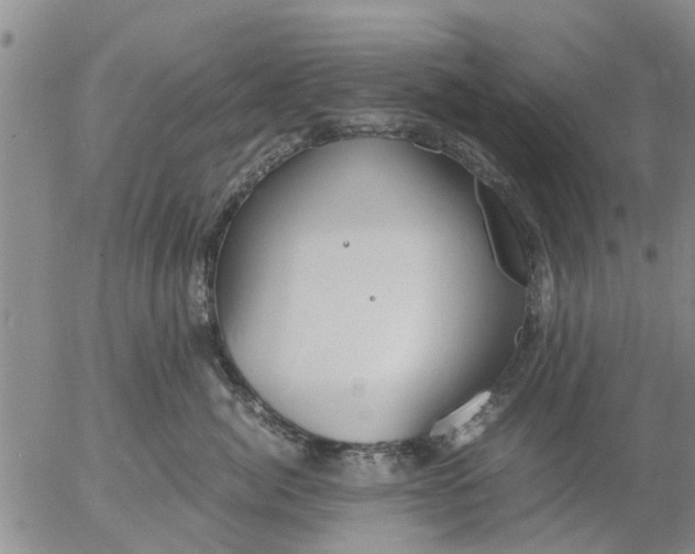 X0000053070764200508011940