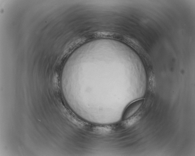 X0000053070765200508011940