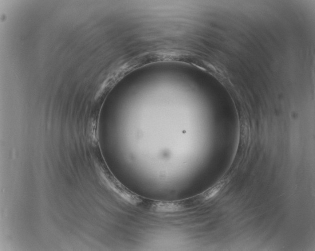 X0000053070766200508011940