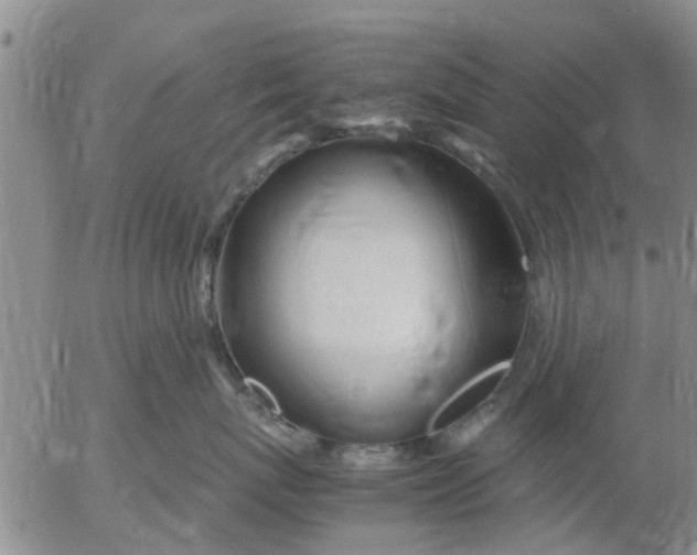 X0000053070767200508011940