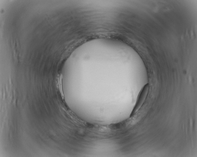 X0000053070768200508011940