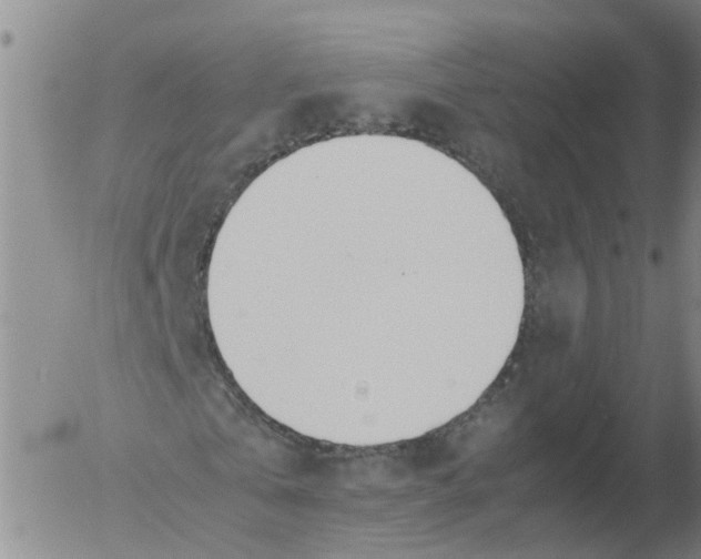 X0000053070769200508011939