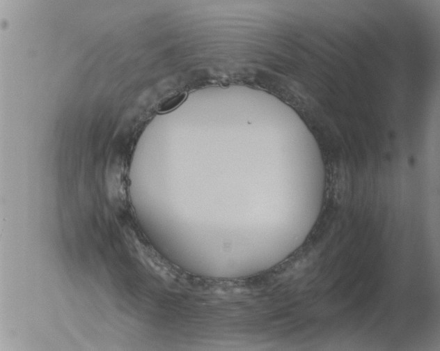 X0000053070770200508011939