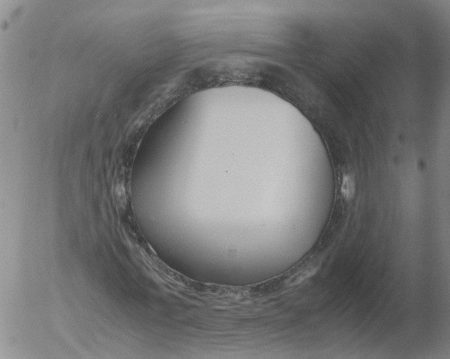 X0000053070771200508011939