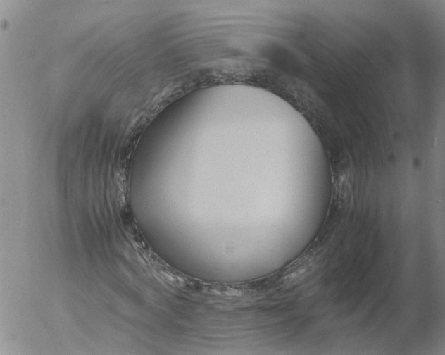 X0000053070772200508011939