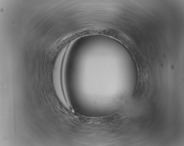 X0000053070773200508011939