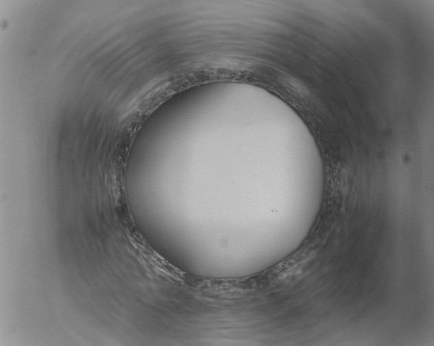 X0000053070774200508011939