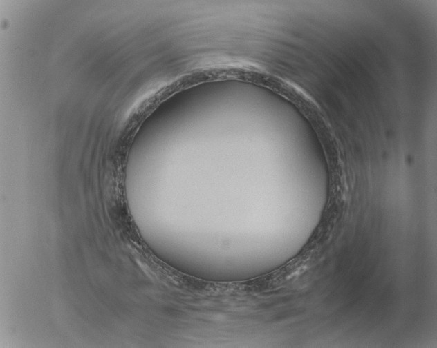 X0000053070775200508011939