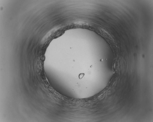 X0000053070776200508011939