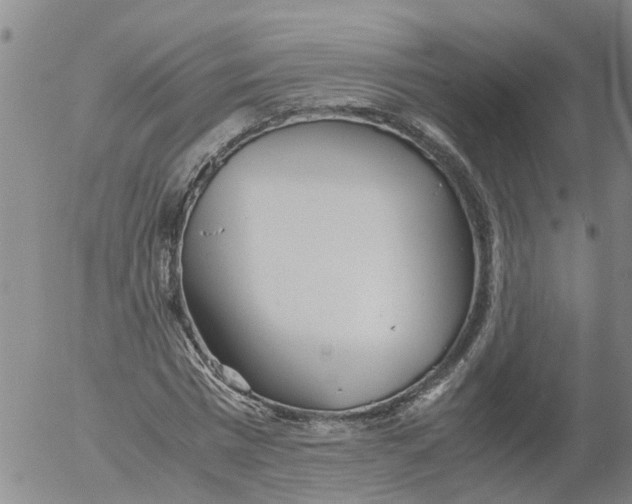 X0000053070777200508011939