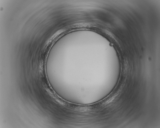 X0000053070778200508011939