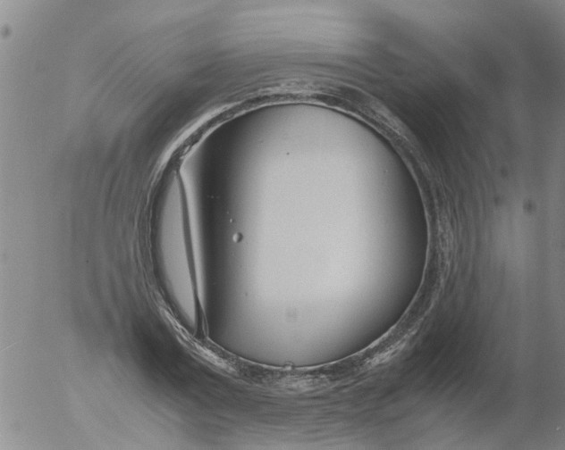 X0000053070779200508011939