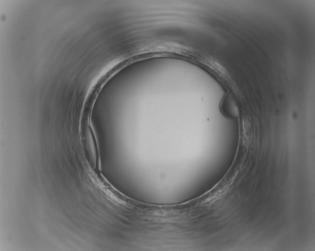 X0000053070780200508011939