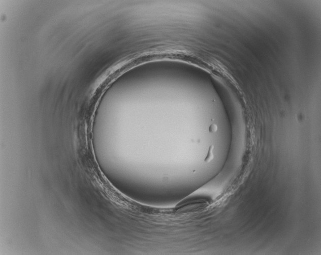 X0000053070781200508011939