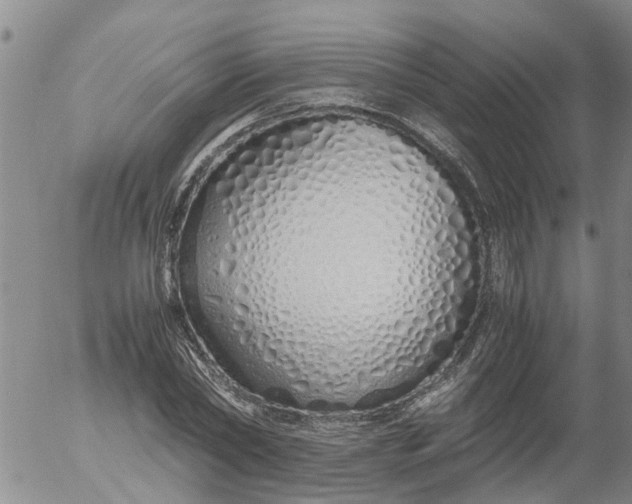 X0000053070782200508011939