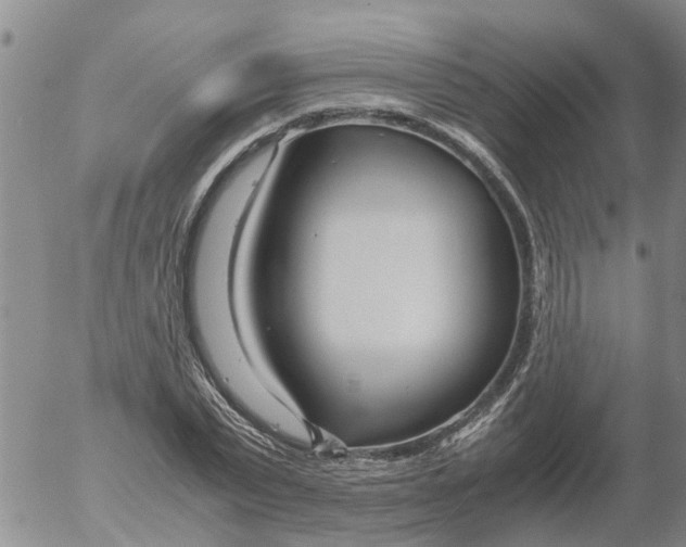 X0000053070783200508011939