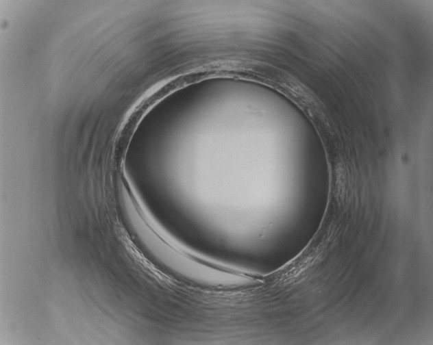 X0000053070784200508011939