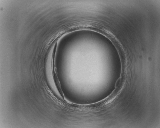 X0000053070785200508011939