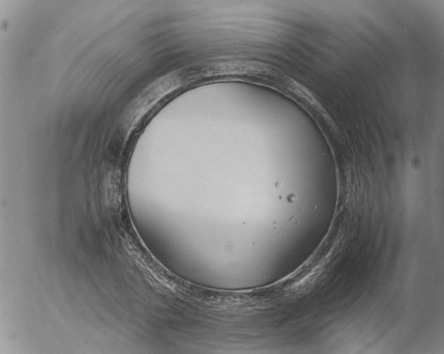 X0000053070786200508011939