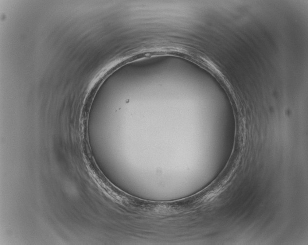 X0000053070787200508011939