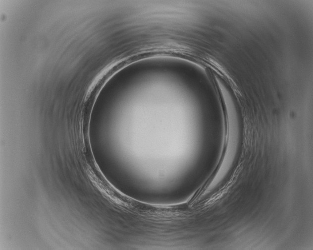 X0000053070788200508011939