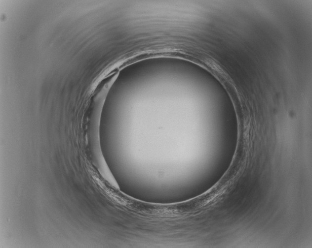 X0000053070789200508011939