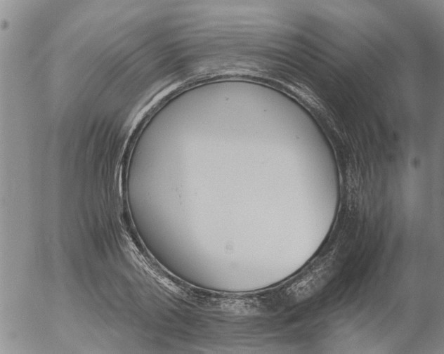 X0000053070790200508011939