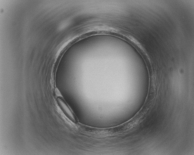 X0000053070791200508011939