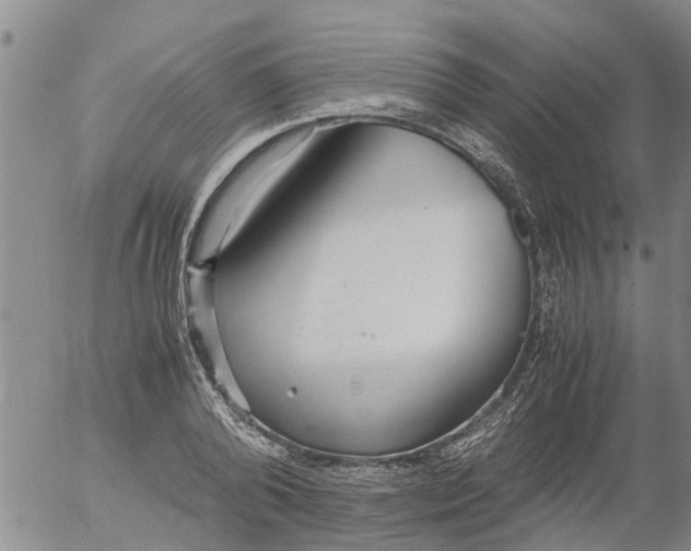 X0000053070792200508011939