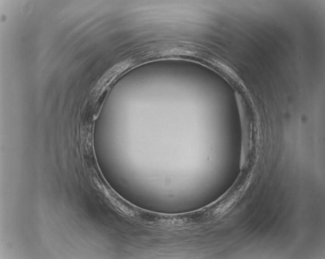 X0000053070793200508011939