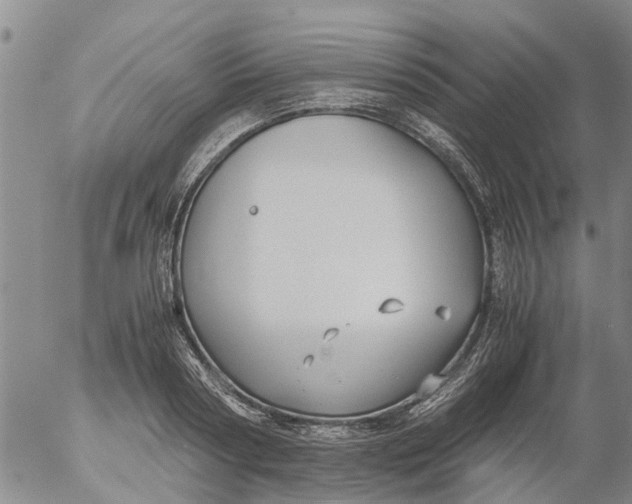 X0000053070794200508011939