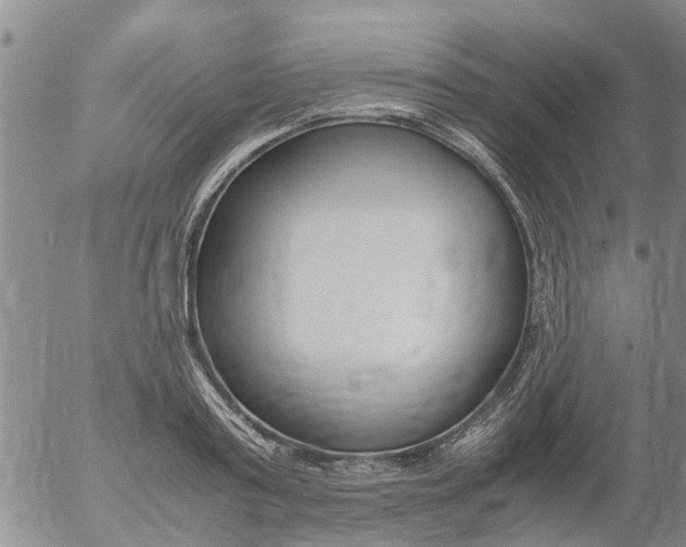 X0000053070795200508011939