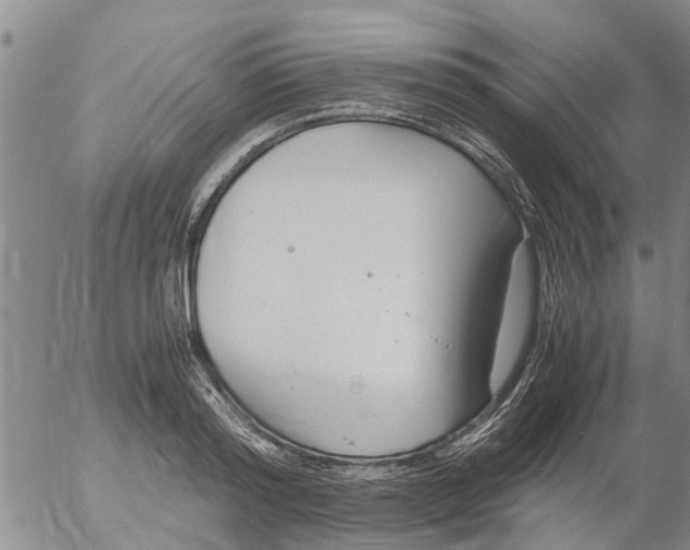 X0000053070796200508011939