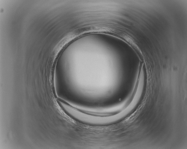 X0000053070797200508011939