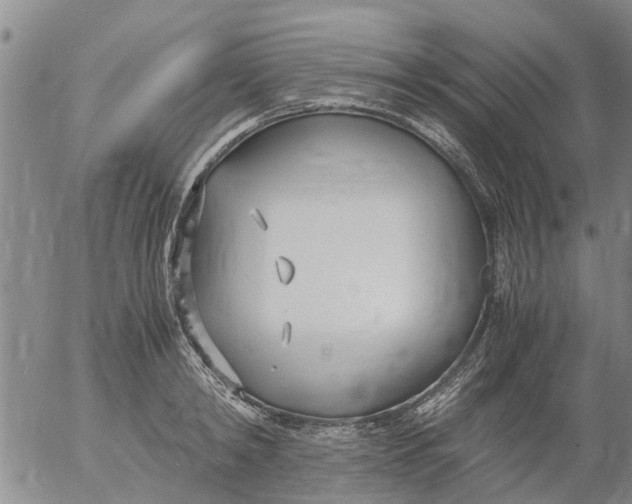 X0000053070798200508011939