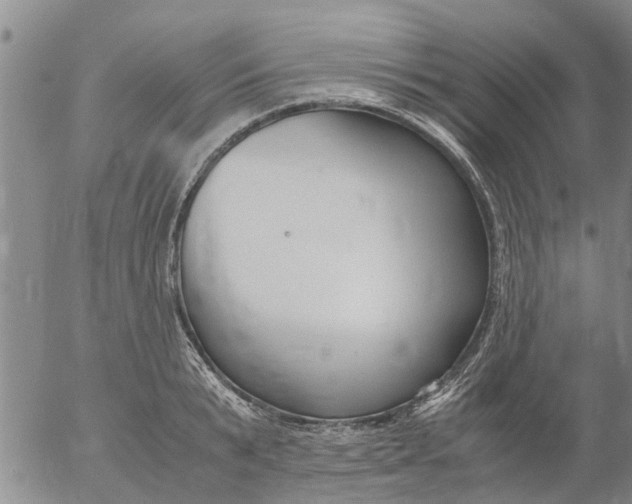 X0000053070799200508011939