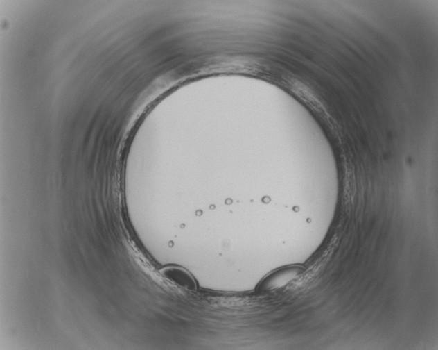 X0000053070800200508011939