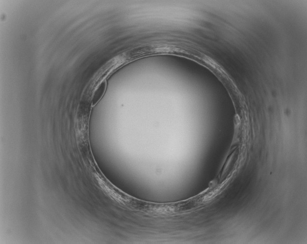 X0000053070801200508011939