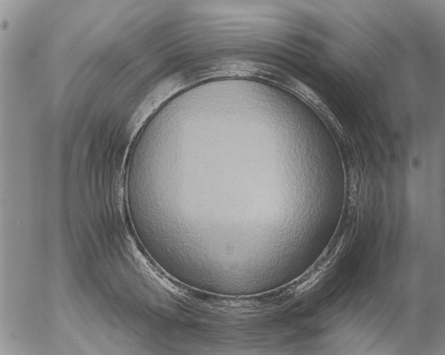 X0000053070802200508011939